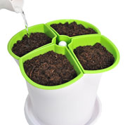 Pot for aromatic plants - Green and White